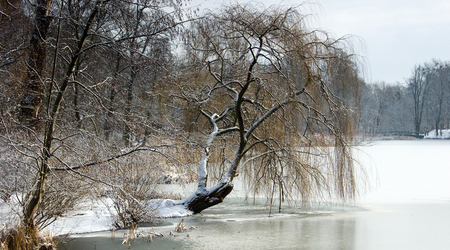 zima – Poznań, Polska