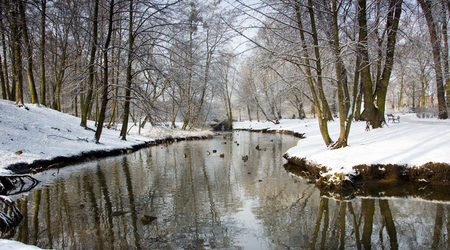 zima – Poznań, Polska