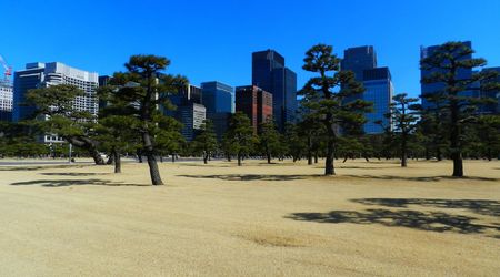 W centrum Tokio – Japonia
