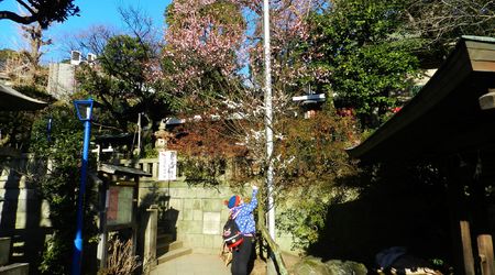 Oznaki wiosny – Tokio, Japonia