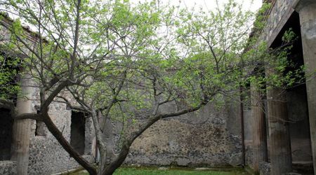 25734044 - Pompeje Pochmurne przedpołudnie w Pompejach – Włochy