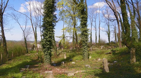 Cieszyn, "stary" cmentarz żydowski – Polska