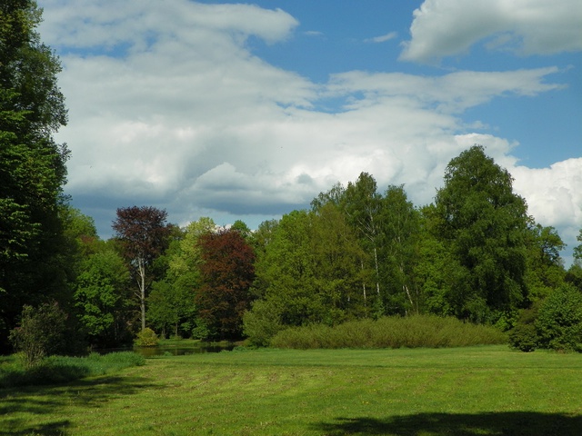 Pszczyna, Fragment Parku Zamkowego