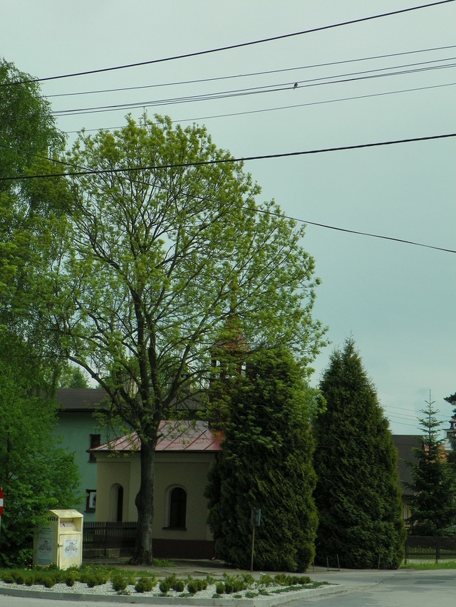 Zbytków, niewątpliwie jedną, albo......