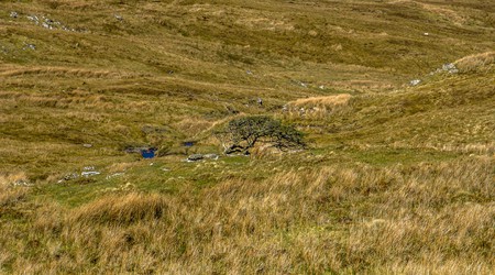 31 joyce country – Toormakeady, Irlandia