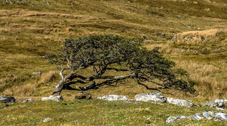 32 joyce country – Toormakeady, Irlandia