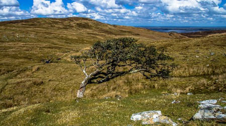 33 joyce country – Toormakeady, Irlandia