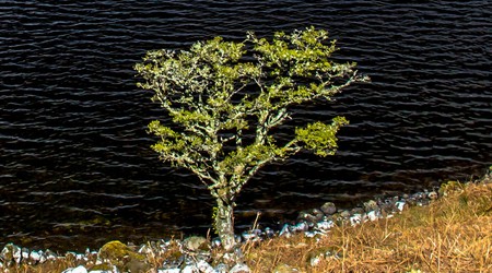 41 joyce country – Toormakeady, Irlandia