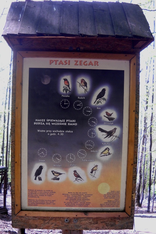 Ustroń
