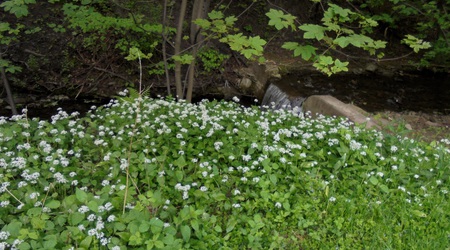 Ustroń - Zawodzie – Polska