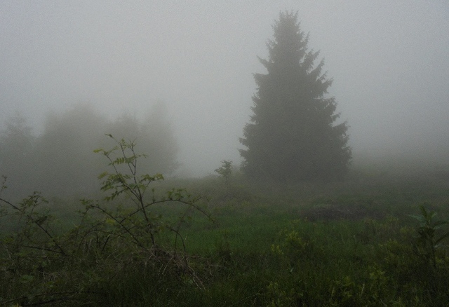 Ustroń - Równica