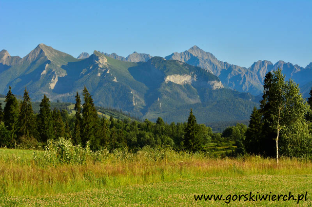 Rzepiska, Białka Tatrzańska ,Bukowina Tatrzańska, Willa Górski Wierch, Noclegi rzepiska