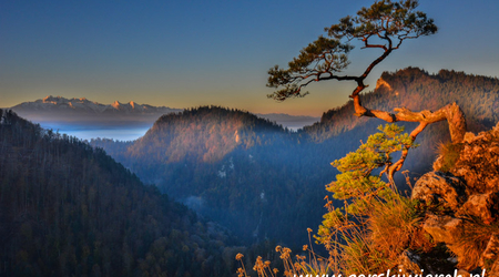 Sokolica, Pieniny, Trzy Korony, Spływ Dunajcem, Willa Górski Wierch, Szczawnica, Krościenko, Sromowce, noclegi szczawnica, noclegi krościenko – Polska