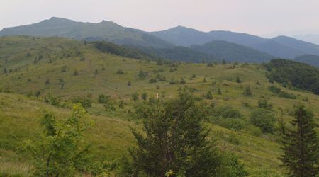 Na szlaku – Wołosate, Polska