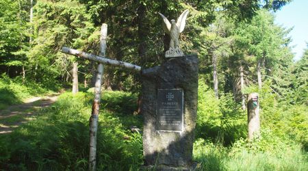 Historia – Jaworzyna krynicka, Polska