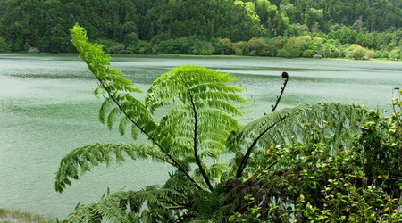 Furnas – Portugalia