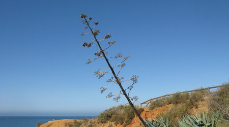 Portimão - Praia da Rocha – Portugalia