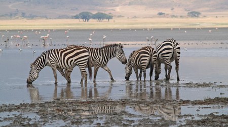 Ngorongoro krater – Tanzania