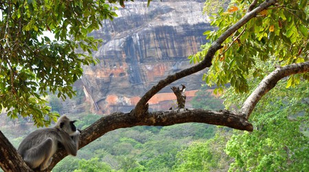 Sigiriya, chwila zadumy :-) – Anuradhapura, Sri Lanka