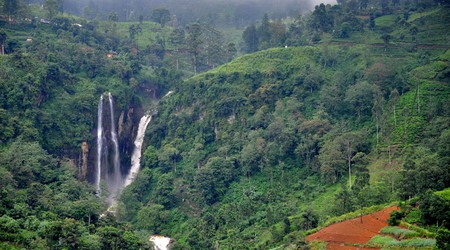 Nuwara Eliya – Sri Lanka