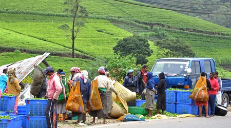 Nuwara Eliya, czas na zapłatę... – Sri Lanka