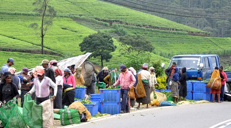 Nuwara Eliya, czas na zapłatę... – Sri Lanka