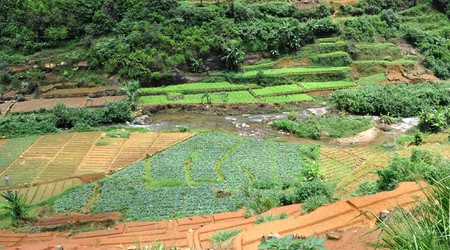 Nuwara Eliya – Sri Lanka