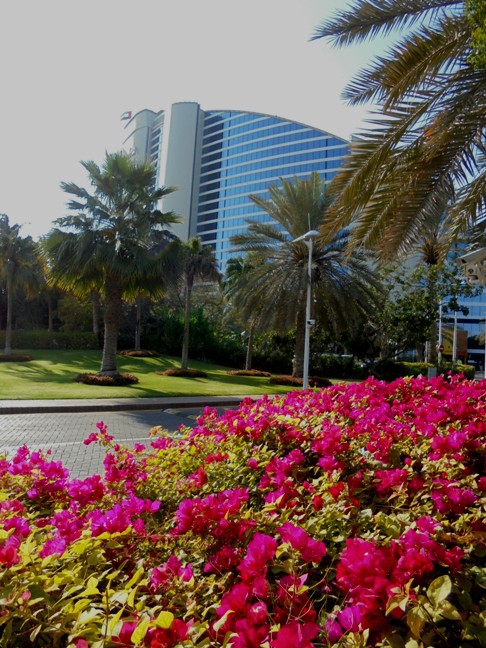 Dubaj - Jumeirah Beach Hotel