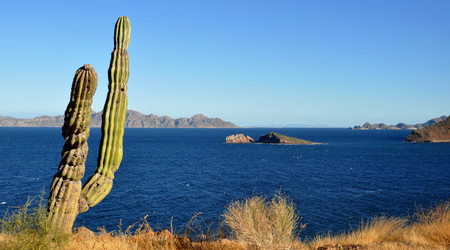 Droga z La Paz do Loreto – Meksyk