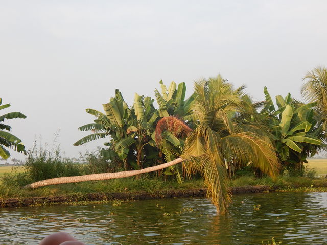 Dscn1276