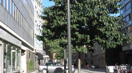 Uppsala – Szwecja