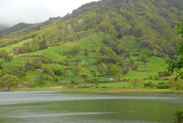 Dsc 0700