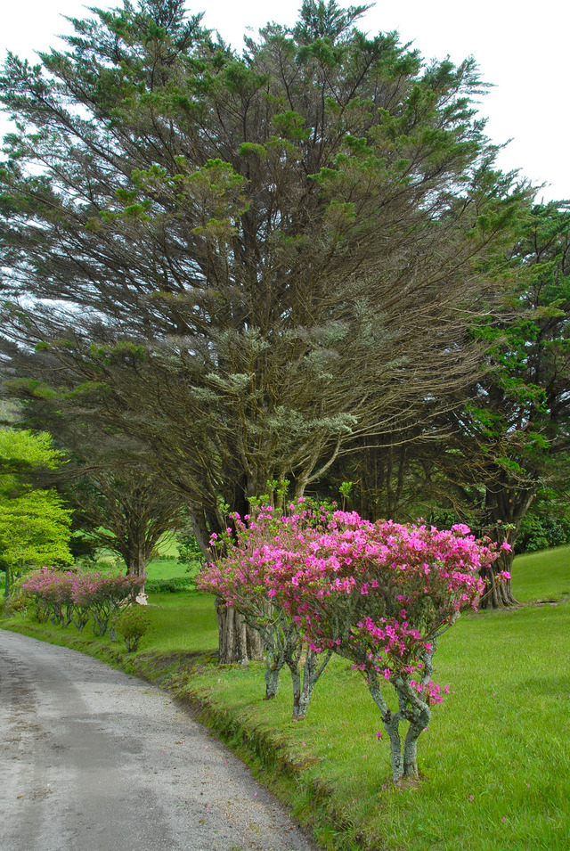 Dsc 0702