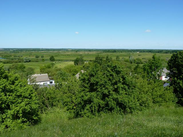 P1060946