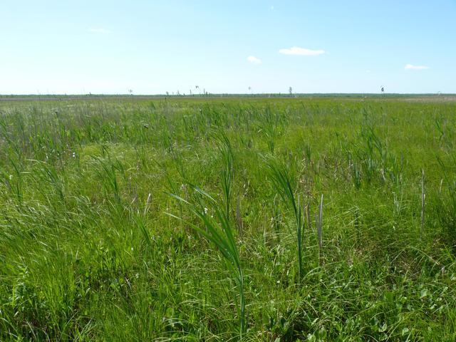 P1060977