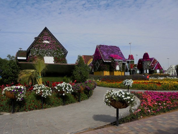 Dubaj - Miracle Garden