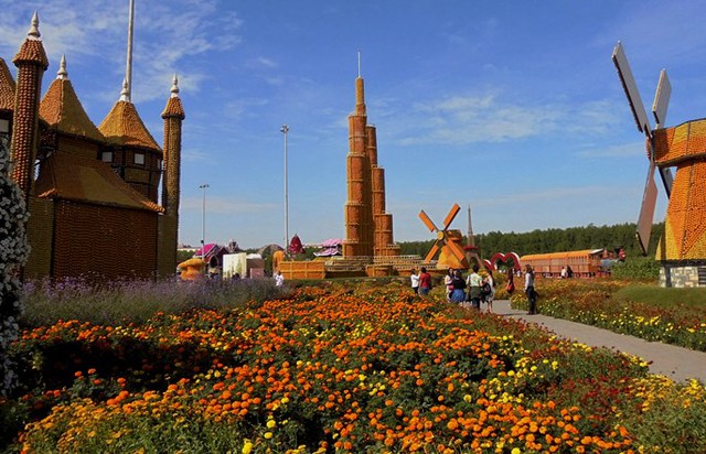 Dubaj - Miracle Garden