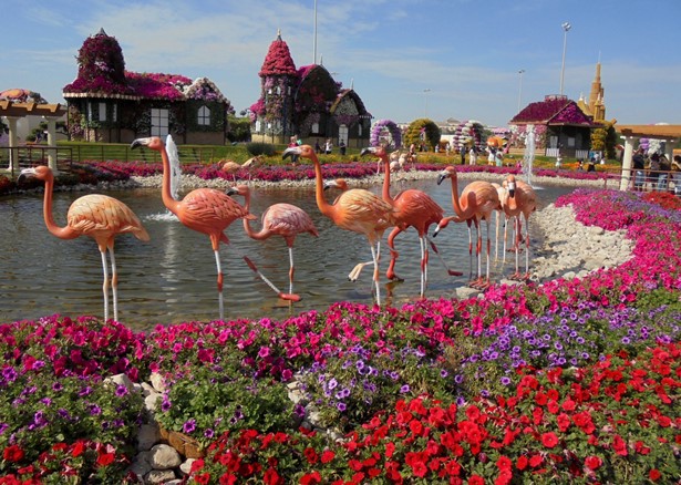 Dubaj - Miracle Garden