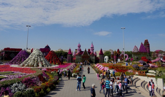 Dubaj - Miracle Garden