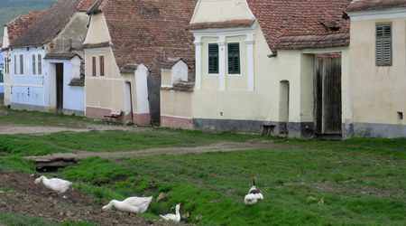 Viscri – Rumunia
