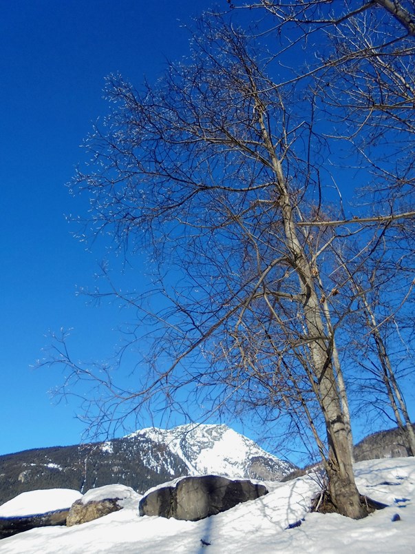 Alpy Francuskie - Sainte Foy Tarentaise