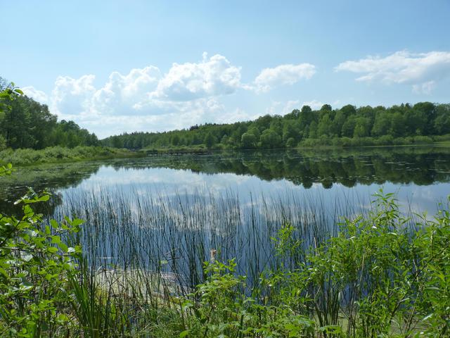 P1080979
