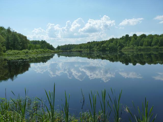 P1080981