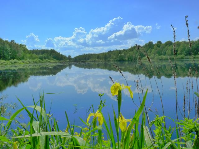 P1080990