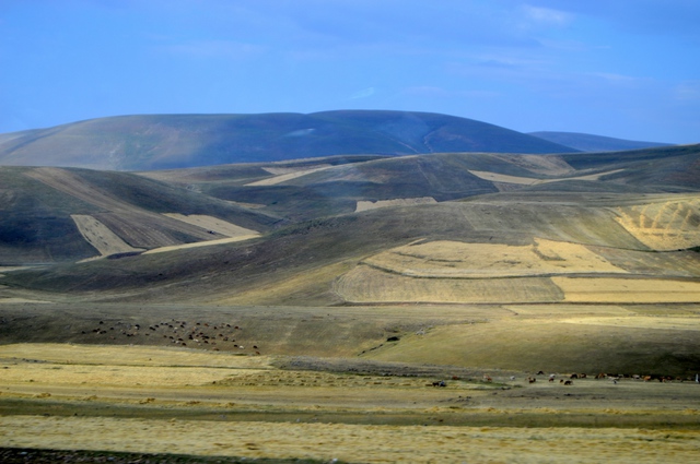 Turcja