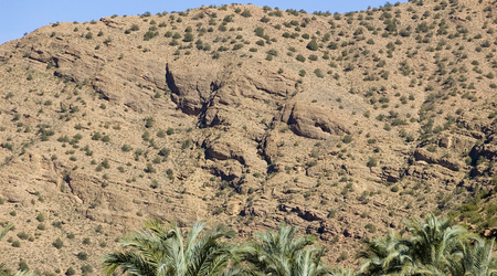 ET? – Biskra, Algieria