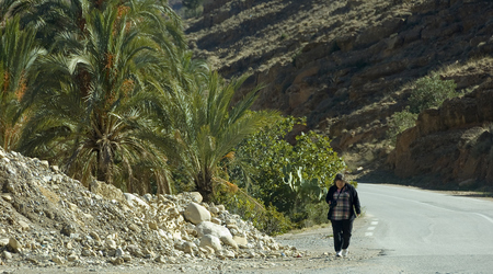 przy drodze – Biskra, Algieria