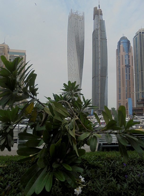 Dubaj - Marina