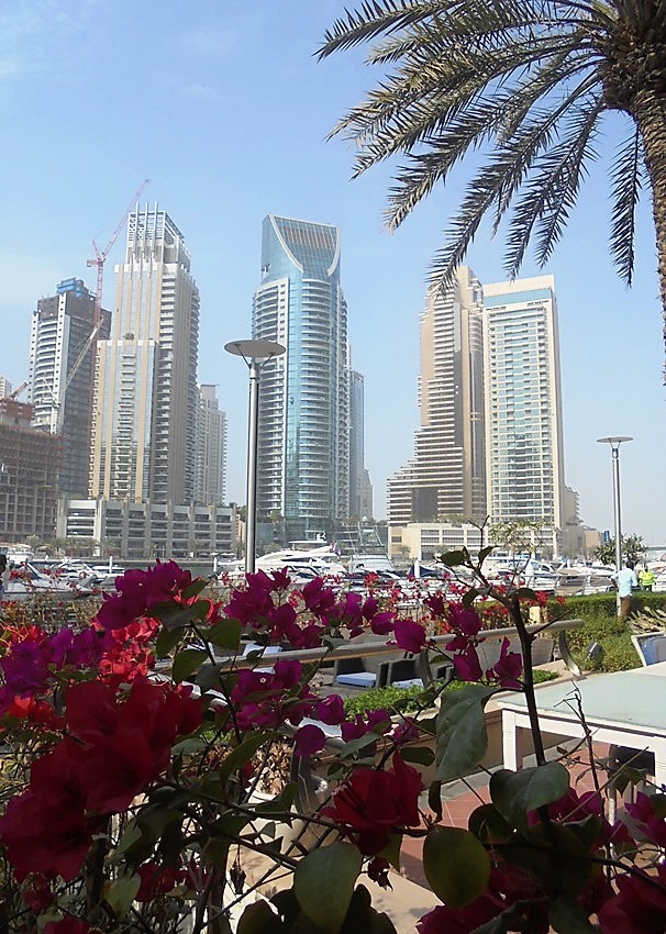 Dubaj - Marina