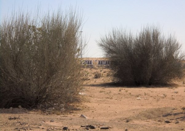Dubaj - Al Barari